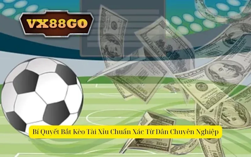 Bí Quyết Bắt Kèo Tài Xỉu Chuẩn Xác Từ Dân Chuyên Nghiệp