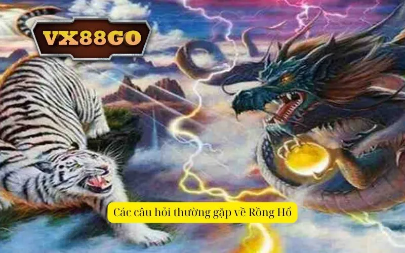 Các câu hỏi thường gặp về Rồng Hổ