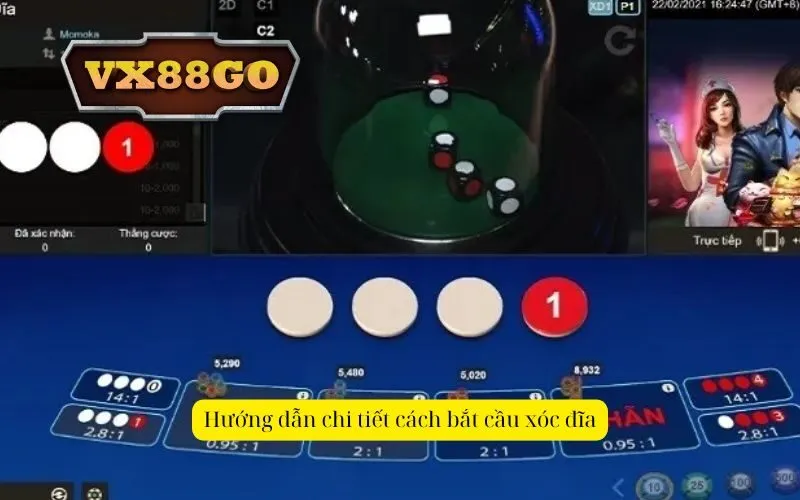 Hướng dẫn chi tiết cách bắt cầu xóc đĩa