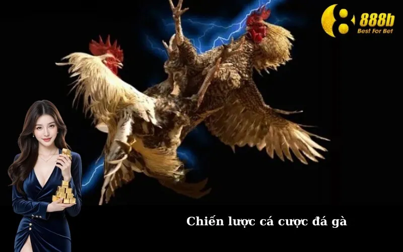 Chiến lược cá cược đá gà